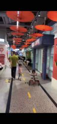 -多元宝贝世界儿童乐园(高新区店)