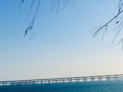 -星海广场