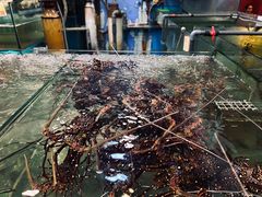 -大茄来海鲜餐厅(亚洲城分行)