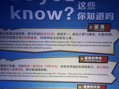 -重庆欢乐海底世界