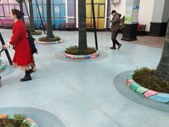 -海合安成都极地海洋公园
