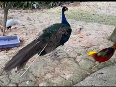 -泉州海丝野生动物世界