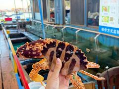 -蓝湾碧波·老字号·疍家非遗海上餐厅