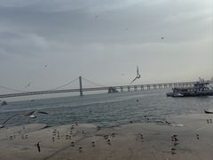 -星海广场