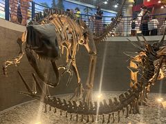 -国家自然博物馆