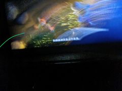 -天幕新彩云国际影城(激光巨幕店)