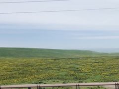 -德禄酸奶(莫家街店)