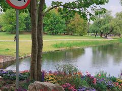 -上海共青森林公园