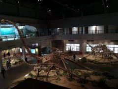 -自贡恐龙博物馆