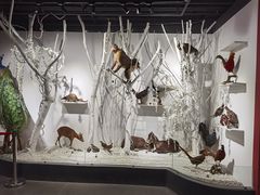 -南宫五洲植物乐园