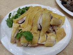 正宗湛江鸡-瑞记湛江鸡饭店·粤西第一鸡(粤垦店)