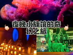 -三亚亚特兰蒂斯度假区