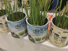 -天虹购物中心(深圳龙华店)