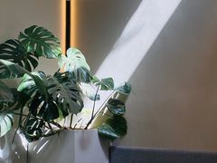 -小意思咖啡店(草桥店)