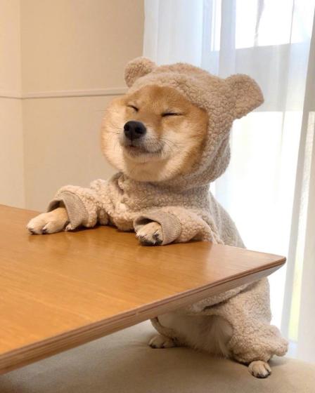 公交车(龙港快线)-"真的 一天到晚改发车时间 20分钟一班车.