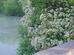 -东园小馆·早茶·淮扬小炒(宋夹城店)