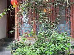 -三色堇(小通巷店)