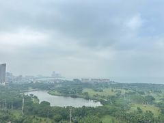 -万绿园
