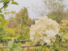 -合肥三国新城遗址公园