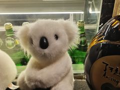 -了不起的考拉咖啡店(高新店)