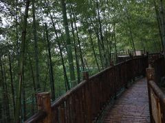 -陶祖圣境风景区