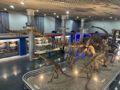 -国家自然博物馆