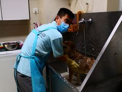 -北京观赏动物医院·24小时大型综合·猫专科·异宠专科