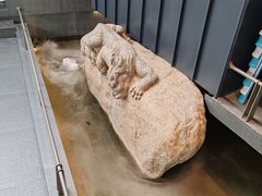 -单家老院·院子里的青岛菜(沙子口店)