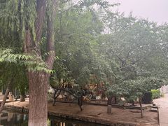 -春风习习