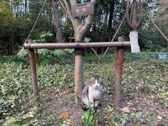-吴淞炮台湾湿地森林公园烧烤区
