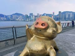 -星光大道