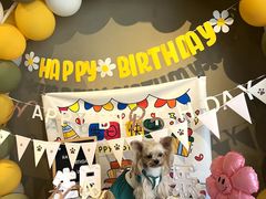 -百好乐宠物友好餐厅(朝外大街店)