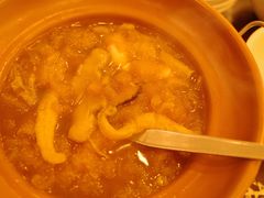 -大中鱼翅 Taitong Shark Fin