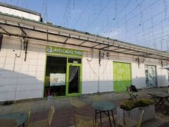 -油梨树AVOCADO TREE(顺义新国展店)