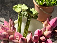 -循礼门鲜花花市(武汉循礼门店)