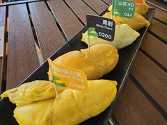 -榴莲BB 四季果园