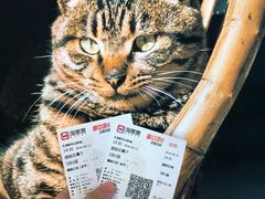 -天幕新彩云国际影城(激光巨幕店)