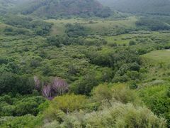 -塞罕坝国家级自然保护区