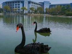 -安徽大学(磬苑校区)