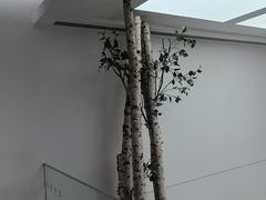 -极简口腔(总院)