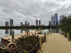 -华侨城湿地公园