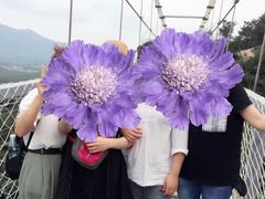 -牛鱼嘴原始生态风景区