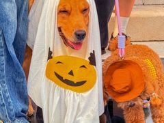 -华谊兄弟（长沙）电影小镇