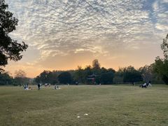 -东湖落雁景区