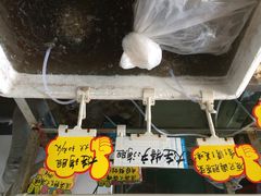 佛山、蚝-蚝专家(北滘店)