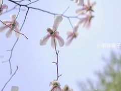 -东华门大街小区