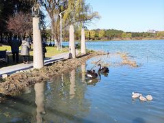 -昆山城市生态森林公园