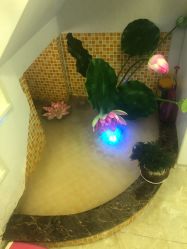 点击看大图 -玛妮雅科技纤体美容