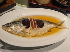 古法蒸鲥鱼-张生记(丁香国际店)