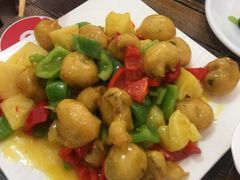 菠萝全贝-烁佳海鲜大馅饺子